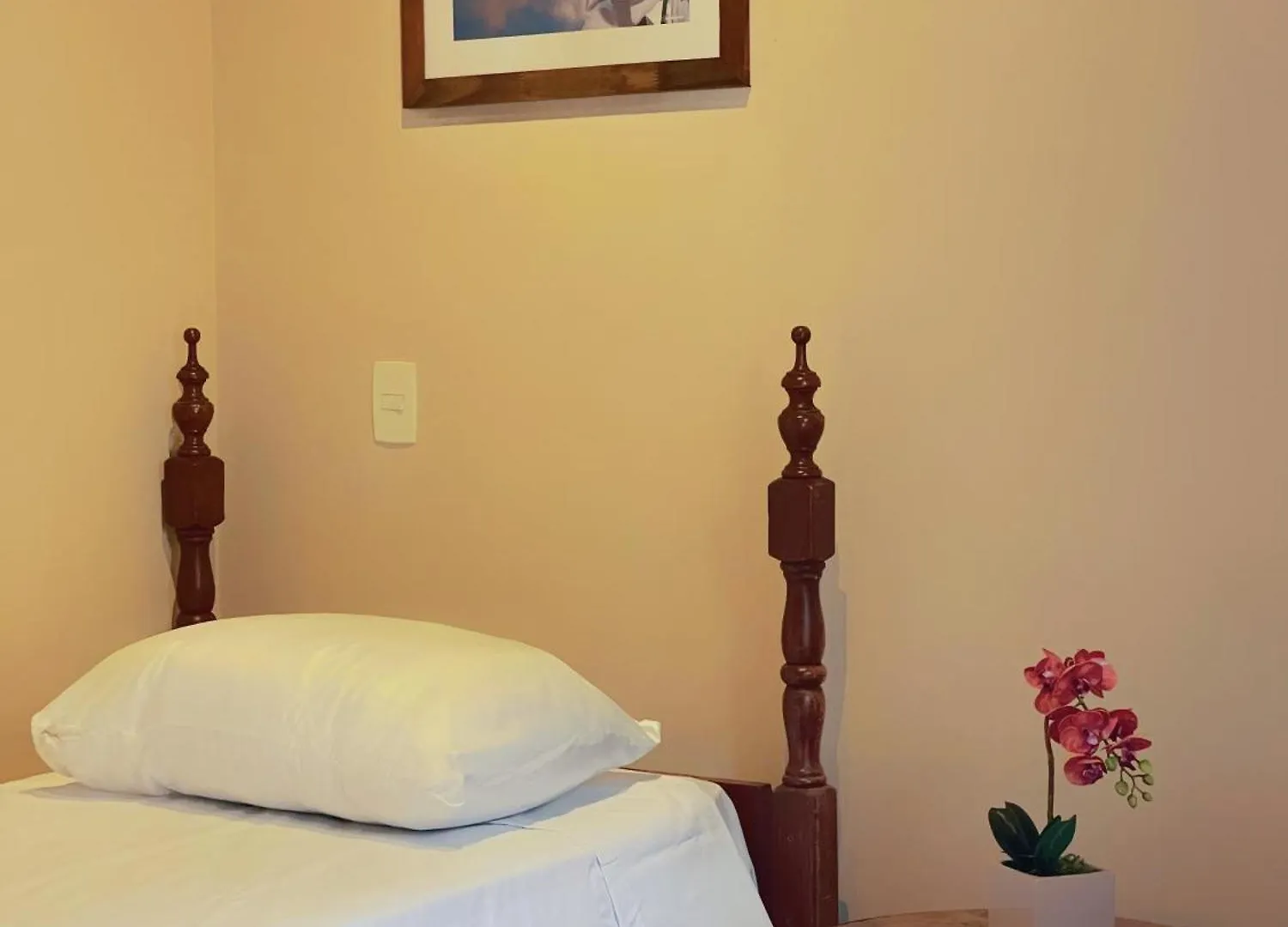 Pousada Jasmim Da Serra Campos do Jordão 宾馆